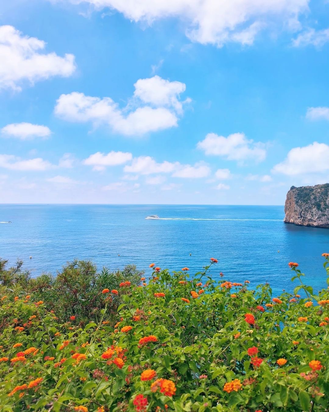 Lantana flowers with the Jávea sea in the background